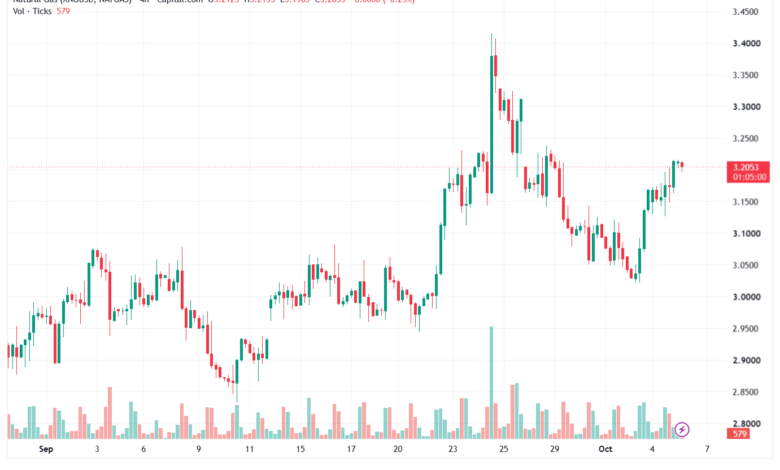 تحليل الغاز الطبيعي NATURAL GAS 06-10-2026