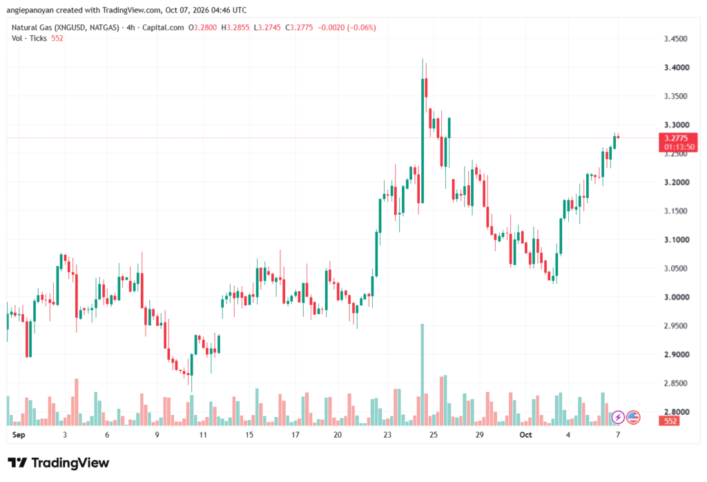 تحليل الغاز الطبيعي NATURAL GAS 07-10-2026