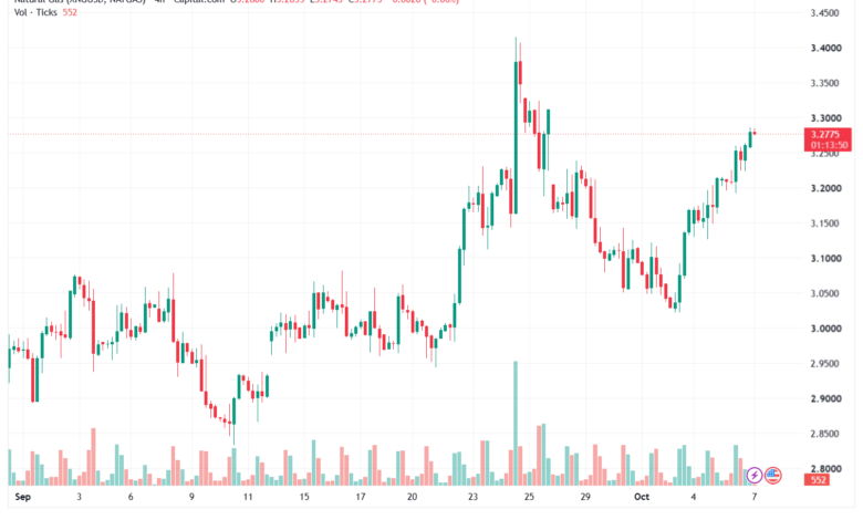 تحليل الغاز الطبيعي NATURAL GAS 07-10-2026