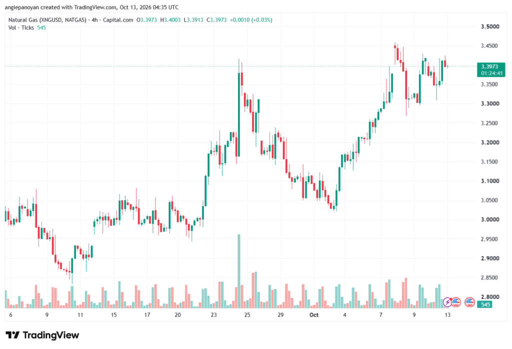 تحليل الغاز الطبيعي NATURAL GAS 13-10-2026