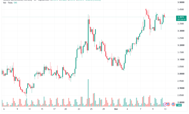 تحليل الغاز الطبيعي NATURAL GAS 13-10-2026