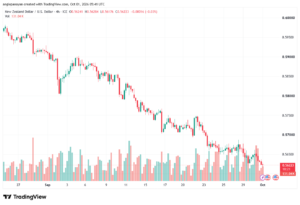 تحليل-NZDUSD-01-10-2026