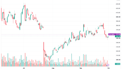 تحليل سهم تسلا الفني TSLA-01-10-2026