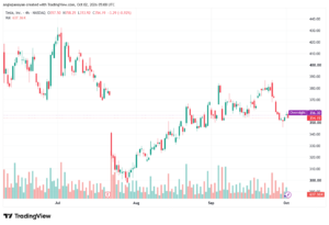 تحليل سهم تسلا الفني TSLA-02-10-2026