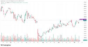 تحليل سهم تسلا الفني TSLA-12-10-2026