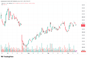 تحليل سهم تسلا الفني TSLA-14-10-2026