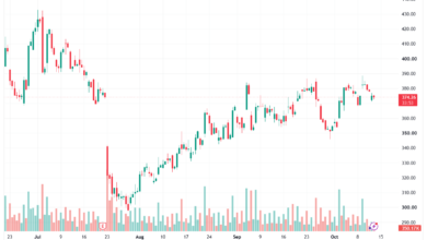 تحليل سهم تسلا الفني TSLA-14-10-2026