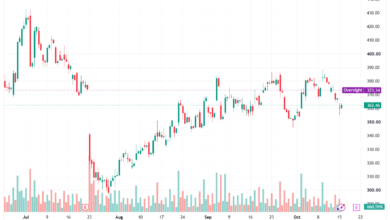 تحليل سهم تسلا الفني TSLA-16-10-2026