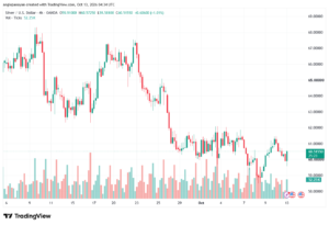 تحليل الفضة 13-10-2026 SILVER XAGUSD