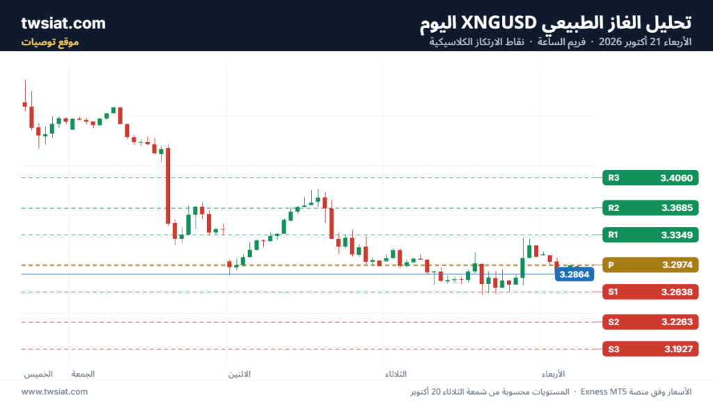 تحليل الغاز الطبيعي NATURAL GAS 21-10-2026