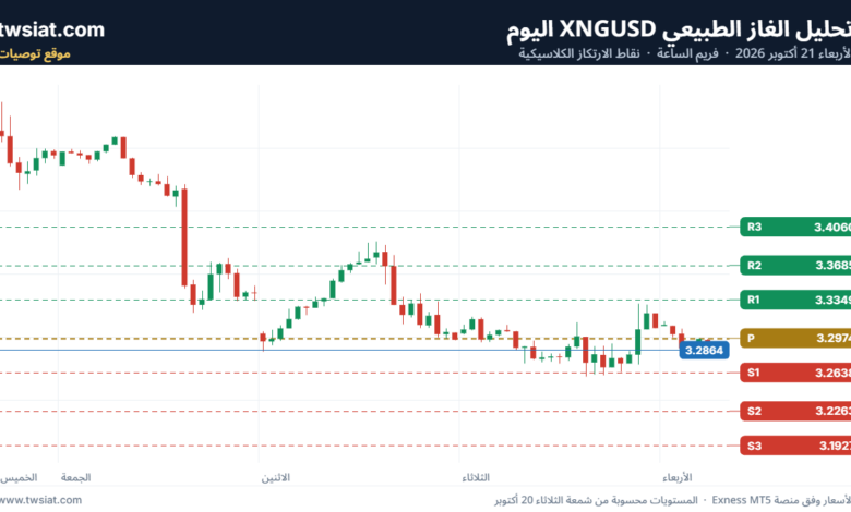 تحليل الغاز الطبيعي NATURAL GAS 21-10-2026