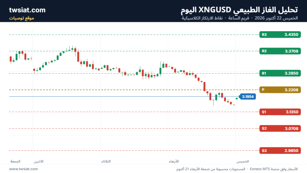تحليل الغاز الطبيعي NATURAL GAS 22-10-2026