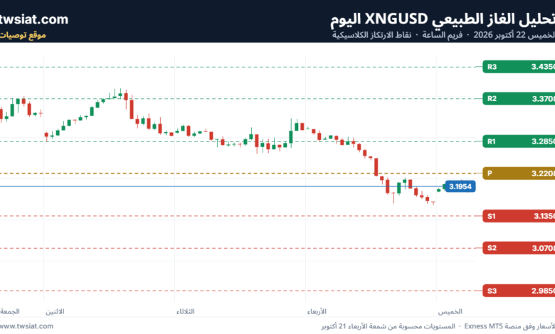 تحليل الغاز الطبيعي NATURAL GAS 22-10-2026