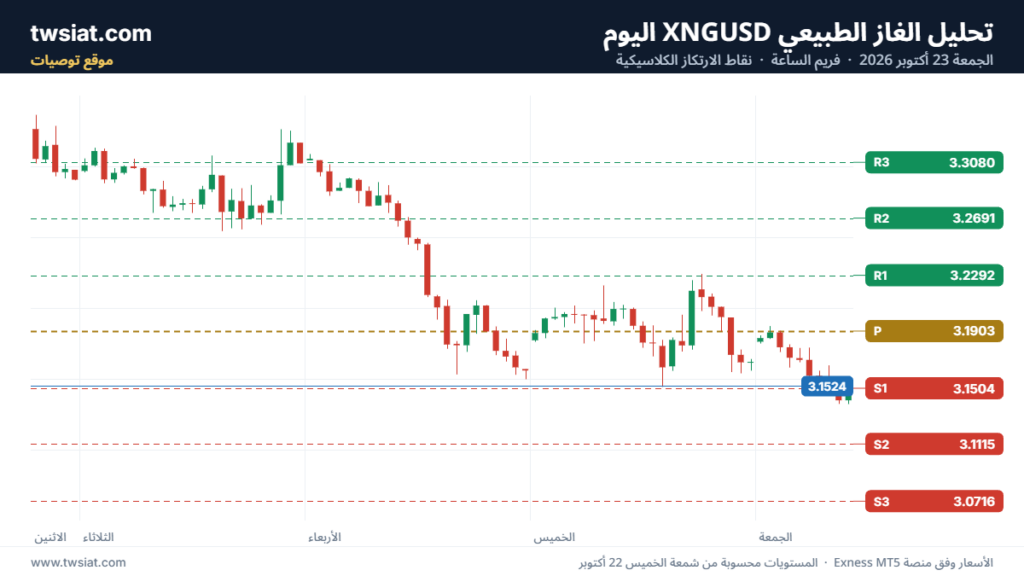 تحليل الغاز الطبيعي NATURAL GAS 23-10-2026
