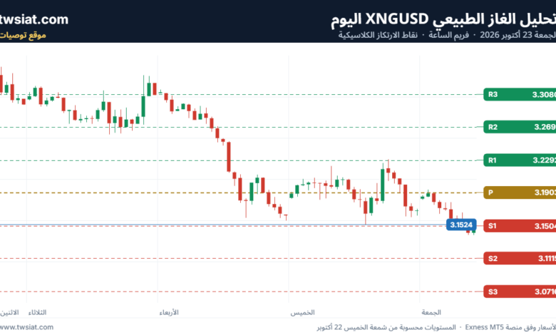 تحليل الغاز الطبيعي NATURAL GAS 23-10-2026