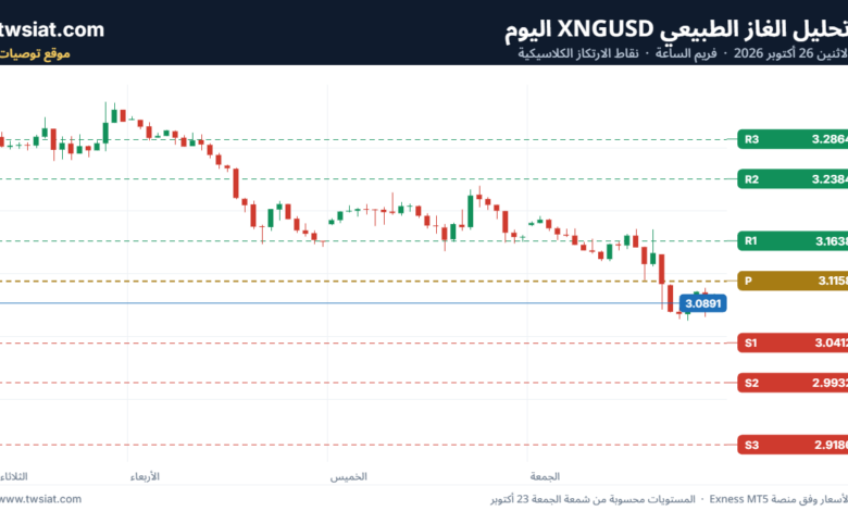 تحليل الغاز الطبيعي NATURAL GAS 26-10-2026